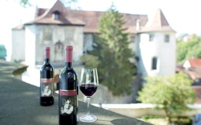 Annette von Droste-Hülshoff und Ihr Weinberg in Meersburg…