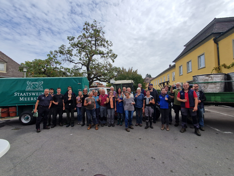 Weinjahr 2023 - unsere Lesemannschaft in Meersburg