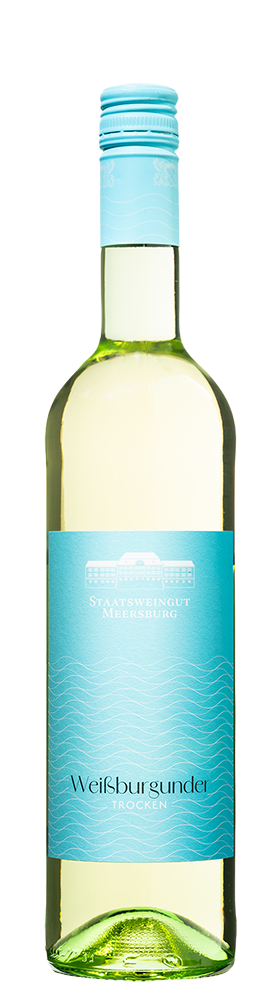 2024 Weißburgunder Gutswein