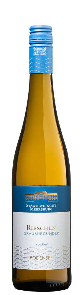 2024 Meersburger Rieschen Grauburgunder trocken